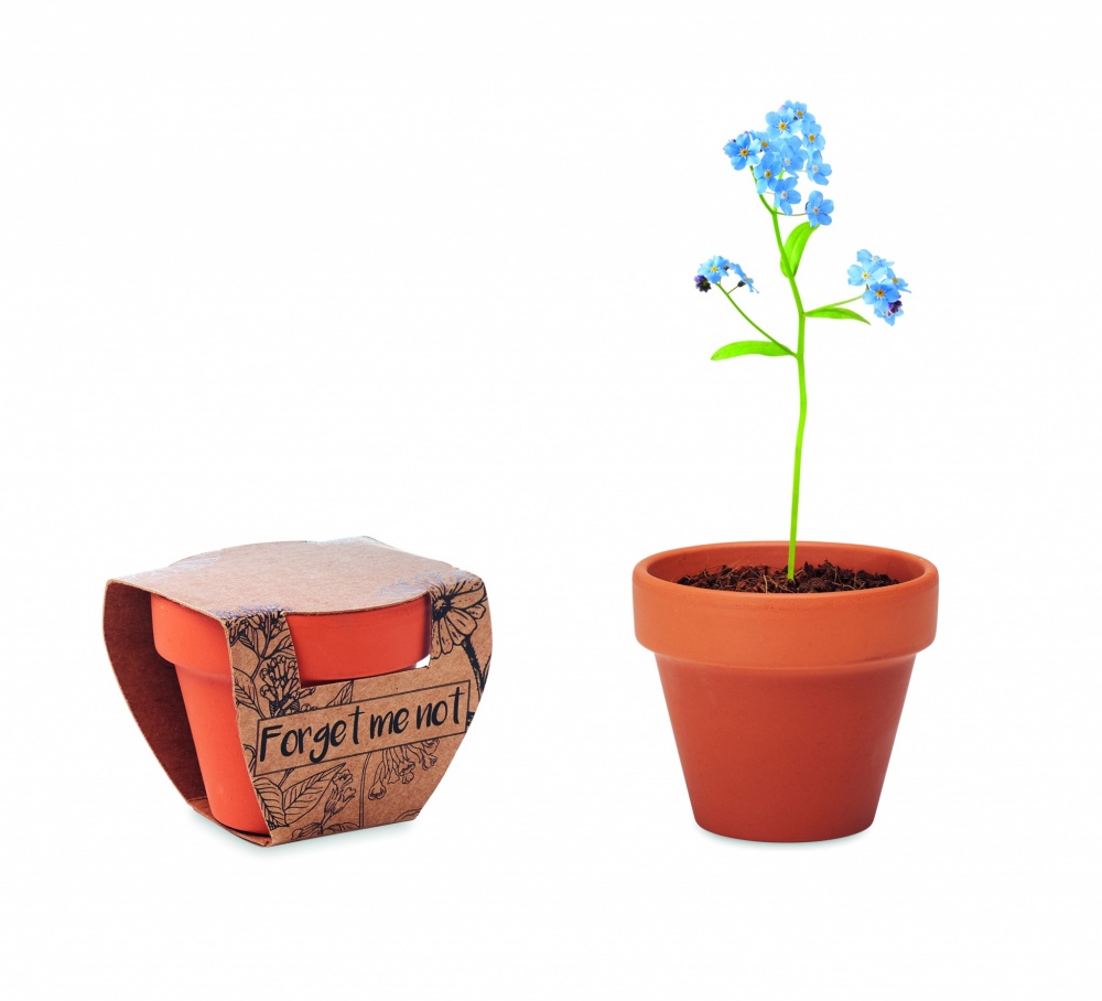 Logotrade Werbeartikel das Foto: Terracotta-Topf Vergissmeinnich