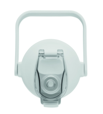 Logotrade Werbegeschenke das Foto: RPET-Trinkflasche 2000ml