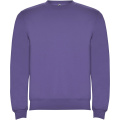 Clasica Sweatshirt mit Rundhalsausschnitt für Kinder, Irisches Lila