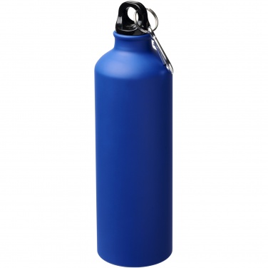 Logo trade promotional giveaways picture of: Oregon 770 ml matte water bottle with carabiner