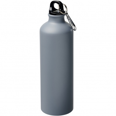 Logo trade corporate gift photo of: Oregon 770 ml matte water bottle with carabiner