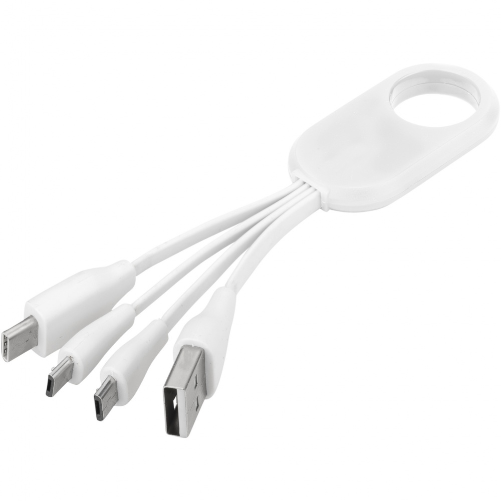 Logotrade promotional item picture of: Troup 4-in-1 charging cable with type-C tip