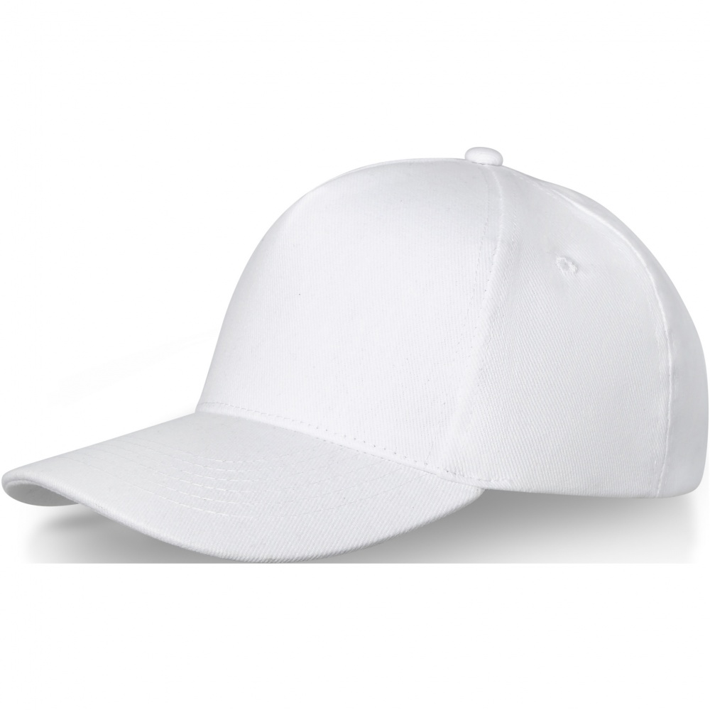 Logotrade business gift image of: Doyle 5 panel cap