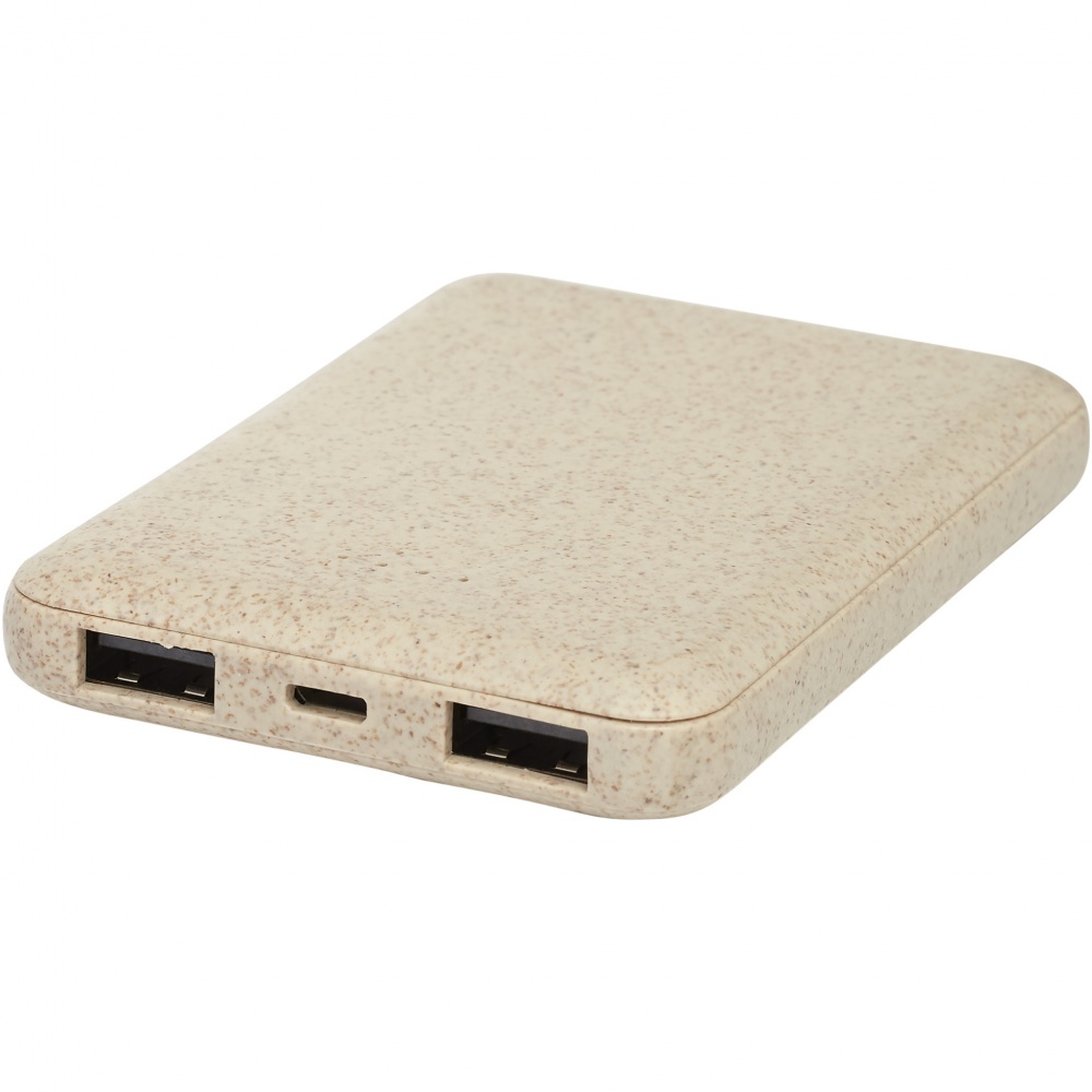 Logo trade corporate gift photo of: Asama 5000 mAh wheat straw power bank