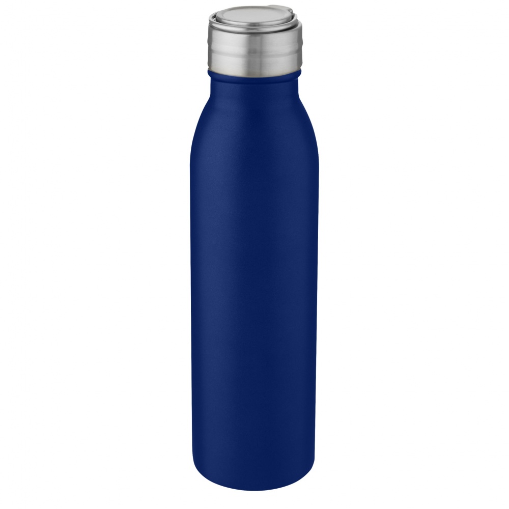 Logotrade promotional merchandise picture of: Harper 700 ml stainless steel water bottle with metal loop