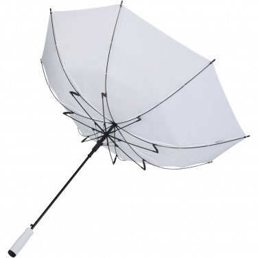 Logotrade promotional merchandise image of: Niel 23" auto open recycled PET umbrella