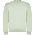 Clasica unisex crewneck sweater, Mist Green