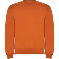 Clasica kids crewneck sweater, Orange