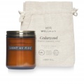 Wellmark cedar wood scented candle medium, Amber heather