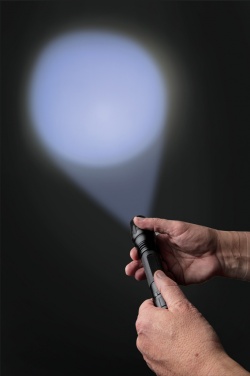 Logo trade promotional giveaway photo of: Torch 10W Heavy duty CREE