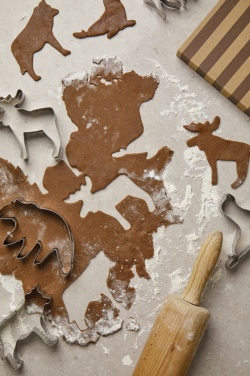 Logotrade promotional giveaway picture of: VINGA Nordic big 5 cookie cutter 5-piece set