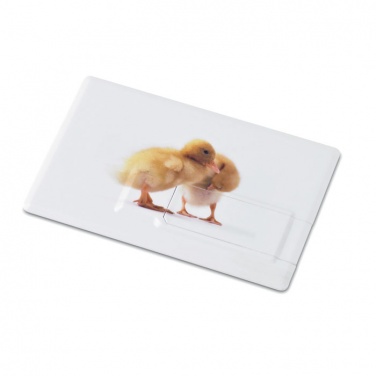 Logo trade promotional gift photo of: Creditcard. USB flash 4GB