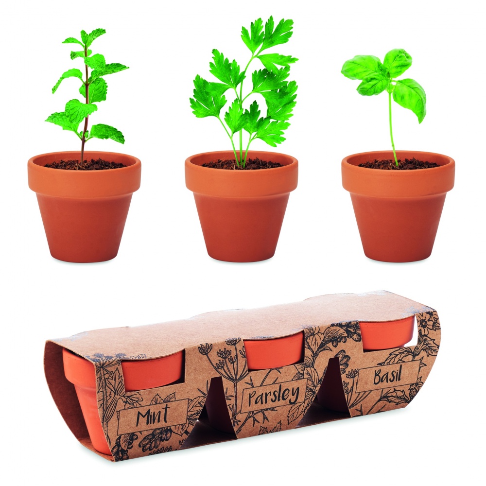 Logo trade promotional gift photo of: Terracotta 3 herb pot set