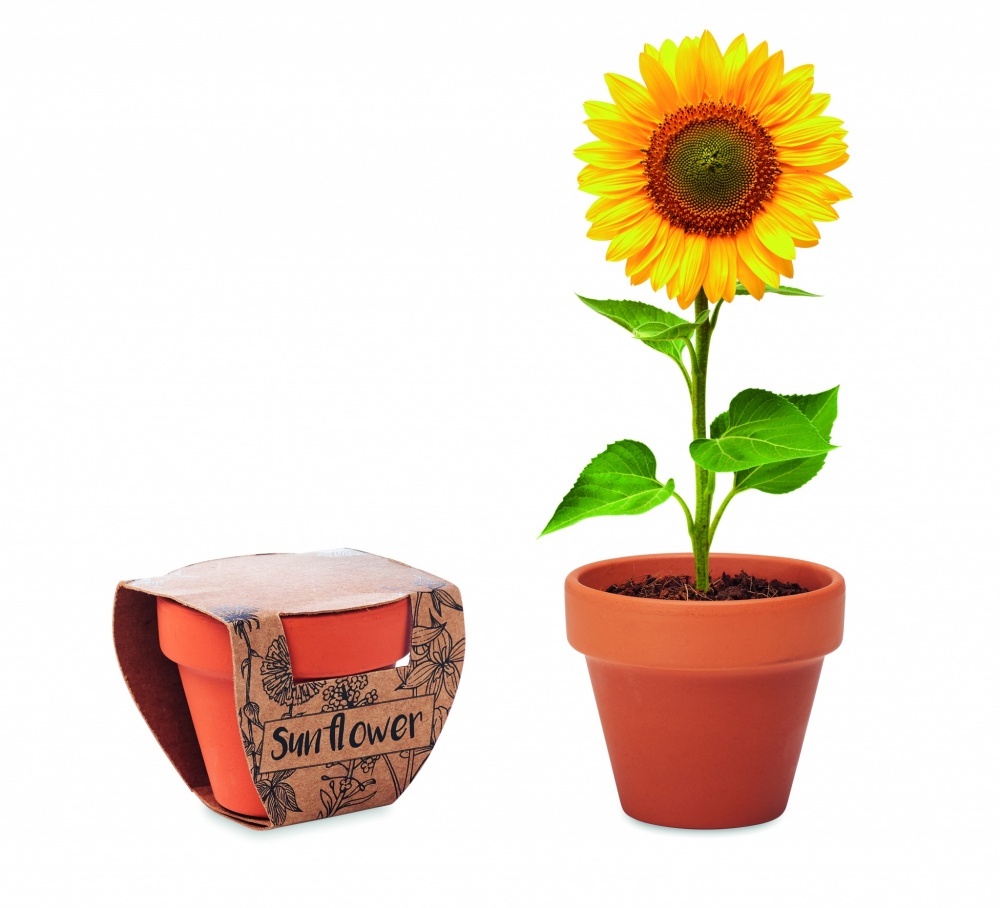 Logotrade promotional merchandise image of: Terracotta pot 'sunflower'