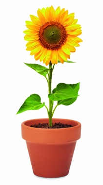 Logotrade promotional giveaway picture of: Terracotta pot 'sunflower'