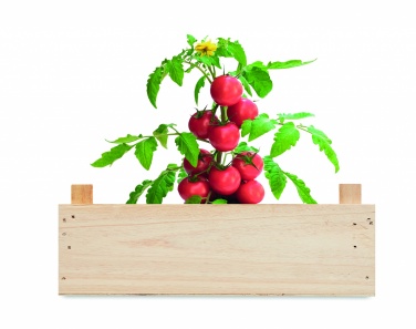 Logotrade promotional product image of: Tomato kit in wooden crate