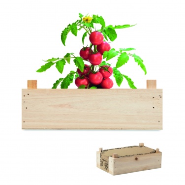 Logotrade promotional giveaway image of: Tomato kit in wooden crate