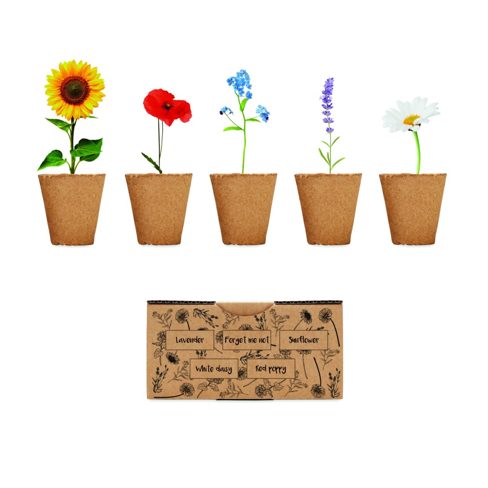 Logotrade promotional merchandise image of: Flowers growing kit