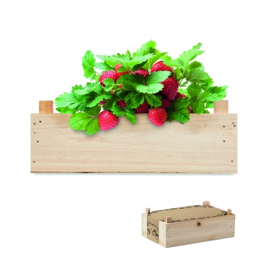 Logotrade corporate gift picture of: Strawberry kit in wooden crate