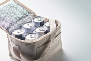Logotrade promotional giveaway picture of: Cooler bag for 6 cans