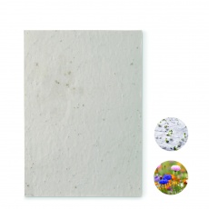 A5 wildflower seed paper sheet