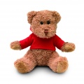 Teddy bear plus with hoodie, Red