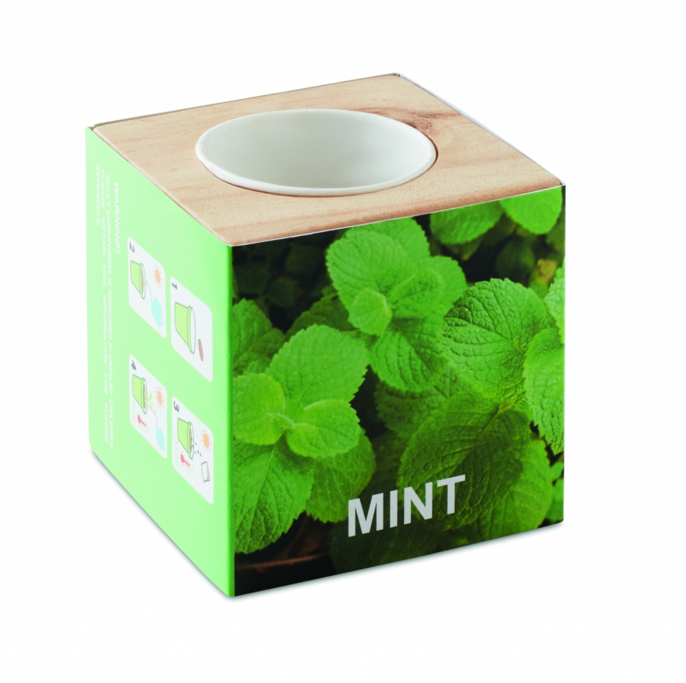 Logotrade promotional gift picture of: Herb pot wood "MINT"