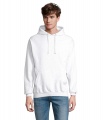 CONDOR Unisex Hooded Sweat, Ash