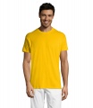 REGENT Uni T-Shirt 150g, Gold