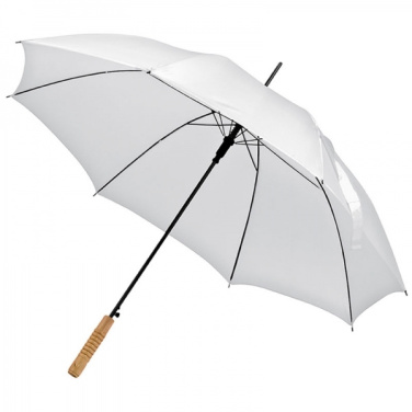 Logotrade promotional item picture of: Automatic walking-stick umbrella LE MANS