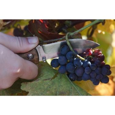Logotrade corporate gift picture of: Pocket knife JUNGLE Schwarzwolf