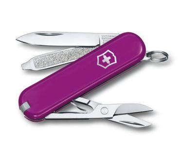 Logo trade promotional items image of: Pocket knife CLASSIC SD Victorinox