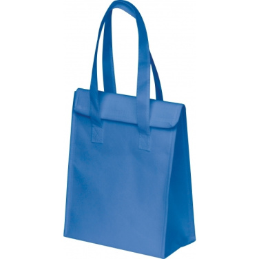 Logotrade promotional merchandise image of: Cooler Bag PLZEN