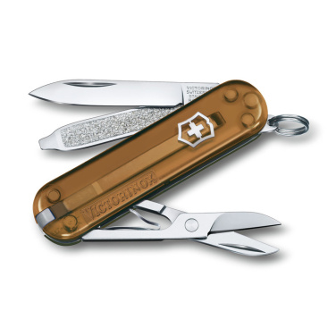 Logotrade promotional merchandise image of: Pocket knife CLASSIC SD Victorinox