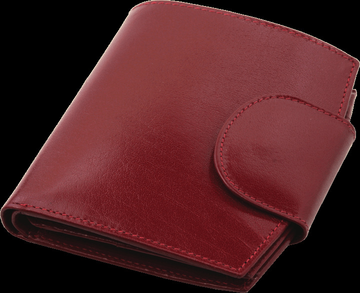 Logo trade promotional products image of: Wallet 31901300