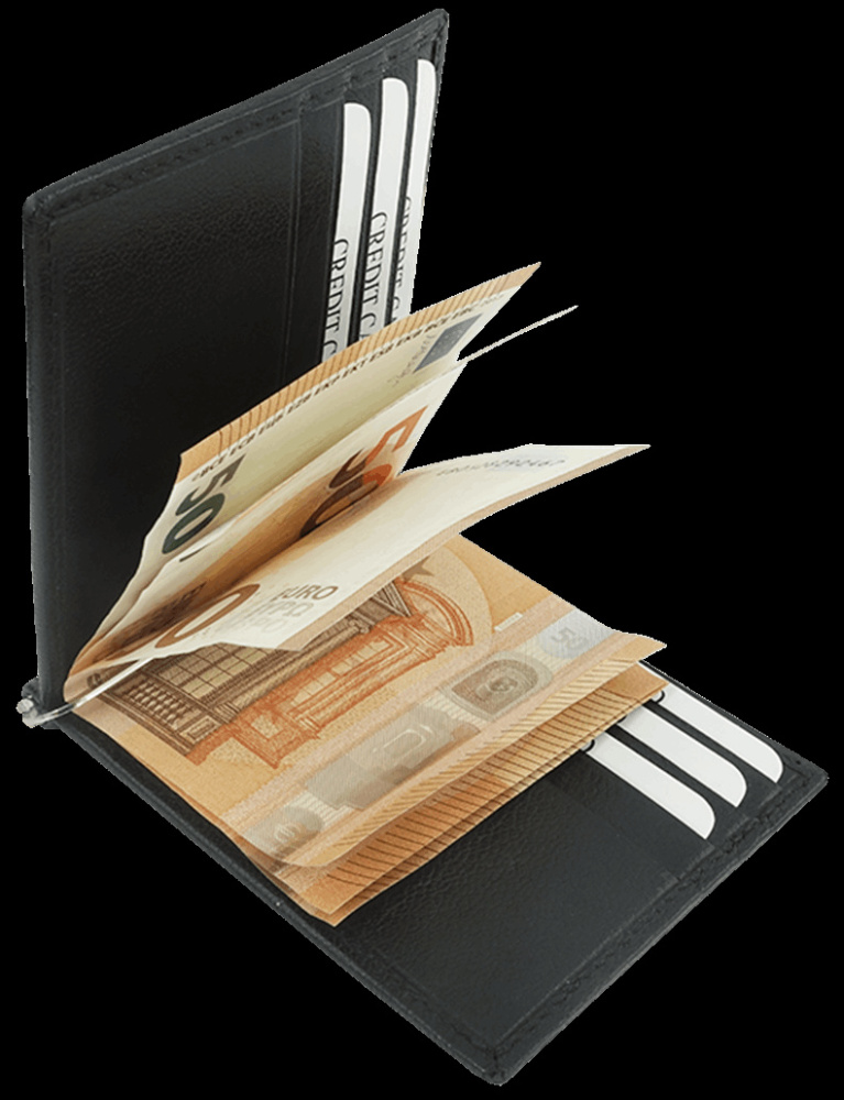 Logo trade promotional merchandise image of: Wallet 38005200