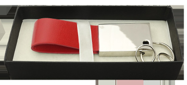 Logo trade promotional products picture of: Keyring 909119