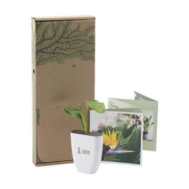 Logotrade business gift image of: Treemore Letterbox Trees Bird of Paradise plant