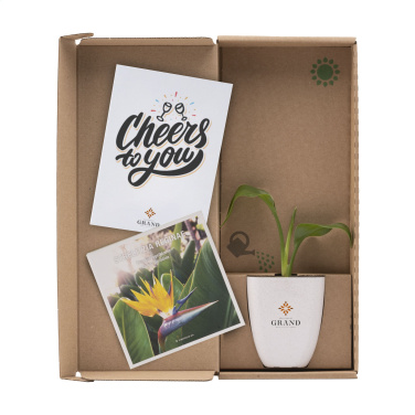 Logotrade promotional item image of: Treemore Letterbox Trees Bird of Paradise plant