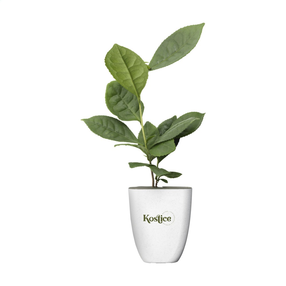 Logo trade business gift photo of: Treemore Letterbox Trees Tea plant
