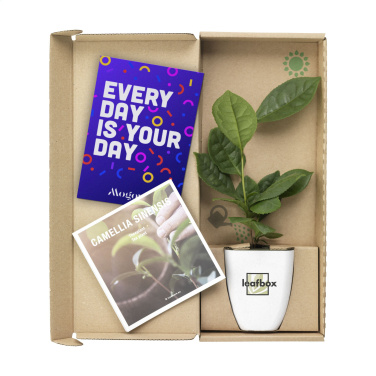 Logo trade corporate gifts picture of: Treemore Letterbox Trees Tea plant