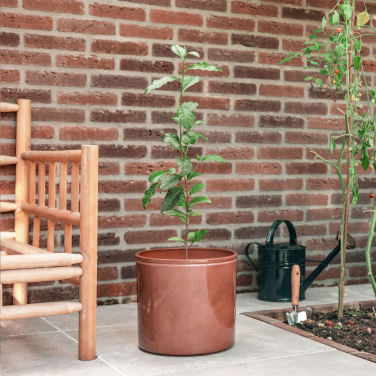 Logotrade corporate gift picture of: Treemore Letterbox Trees Tea plant