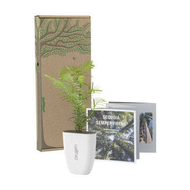 Logotrade promotional gift picture of: Treemore Letterbox Trees Giant Sequoia