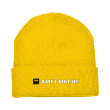 Logotrade promotional merchandise image of: Antarctica hat