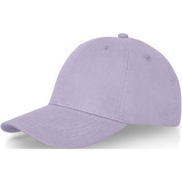 Logo trade promotional merchandise picture of: Davis 6 panel cap