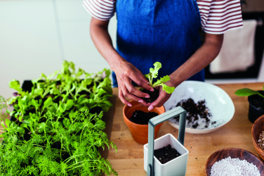 Logotrade promotional gift picture of: Indoor garden with LED light