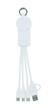 Logo trade business gifts image of: 2 in 1 charging cable type-C