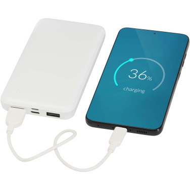 Logotrade promotional merchandise photo of: Intan 10.000 mAh 10W recycled plastic power bank