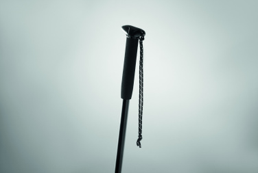 Logotrade corporate gift image of: Telescopic walking pole