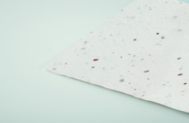 Logotrade business gift image of: Wildflower seed business card.